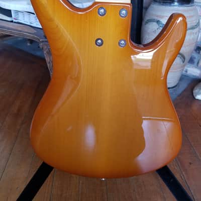 Regenerate Guitar Works Left Handed 5 String Bass. Boutique Builder from Oregon, USA. image 10