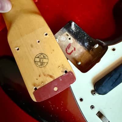 1974 Fender Mustang 3-Tone Sunburst image 16