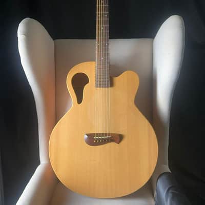 Tacoma BM6C Baritone Thunderhawk Datt Case image 3