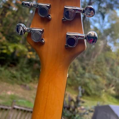 Brownsville Choirboy 3 Pickup Semi Hollow Guitar with Gig Bag - Sage Green Metallic image 8