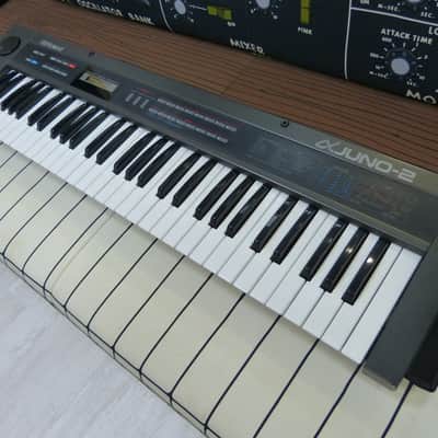 Roland Alpha Juno-2 + PG-300 Programmer + manuals, etc. image 4