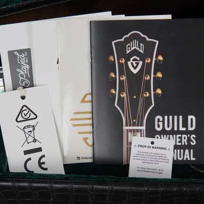 Guild F-512E image 16