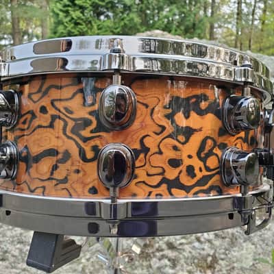 Mapex Orion 2008 - Chocolate Burl image 15