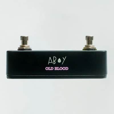 Old Blood Noise Endeavors - AB/Y Switcher - Holey Kids image 2