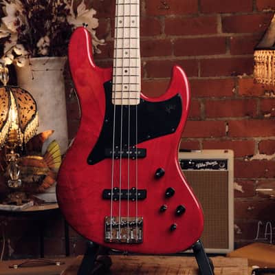 Vincita Versatilita 4 String J Bass - Great Active/Passive J bass! image 4