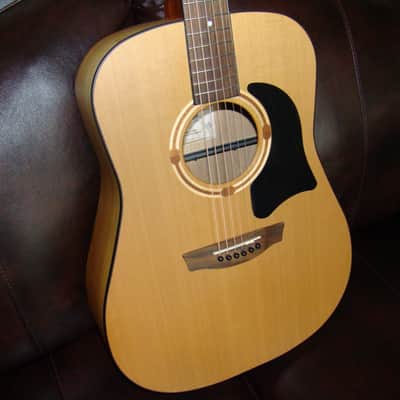 Rare Garrison G20 Solid Wood Acoustic Guitar & Case, Newfoundland