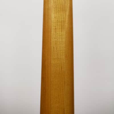 Spector Euro Series 6LX 6-String Fretless Bass Guitar with Zebrawood image 7