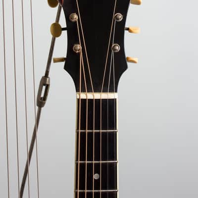 Gibson Style U Harp Guitar (1908), ser. #7554, Mark Leaf molded fiberglass hard shell case. image 5