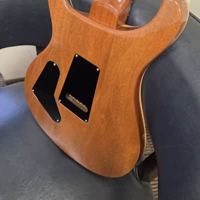 PRS PRS CUSTOM 24 - ANTIQUE WHITE image 14