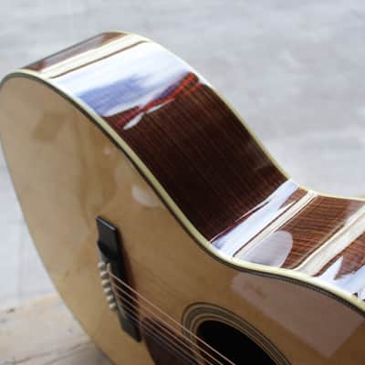 BOURGEOIS Touchstone Series OM Vintage/TS, HARDCASE image 20
