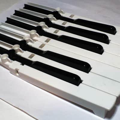 Magnus / Lot of 12 Magnus Chord Organ Replacement Keys image 2