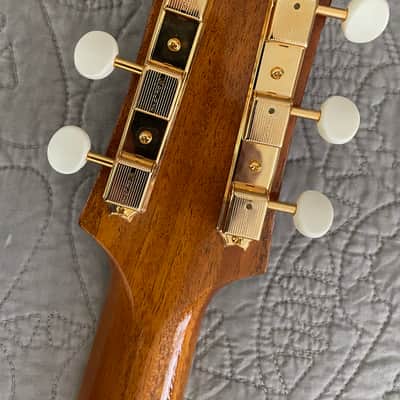 Immagine Stringphonic “Leroy” Recent - Natural - 3