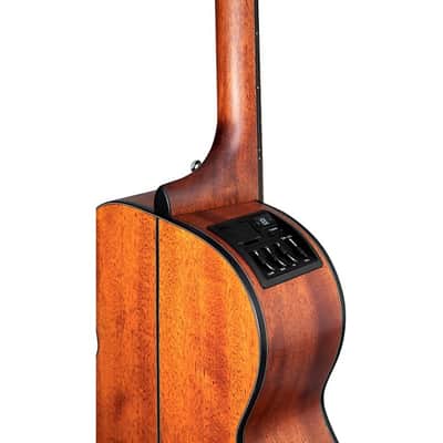 Takamine Gln11 E Ns image 4