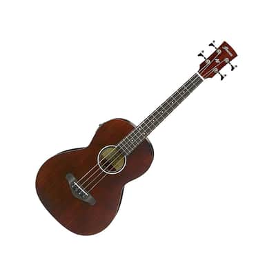 Ibanez Avnb1 Ebv image 3