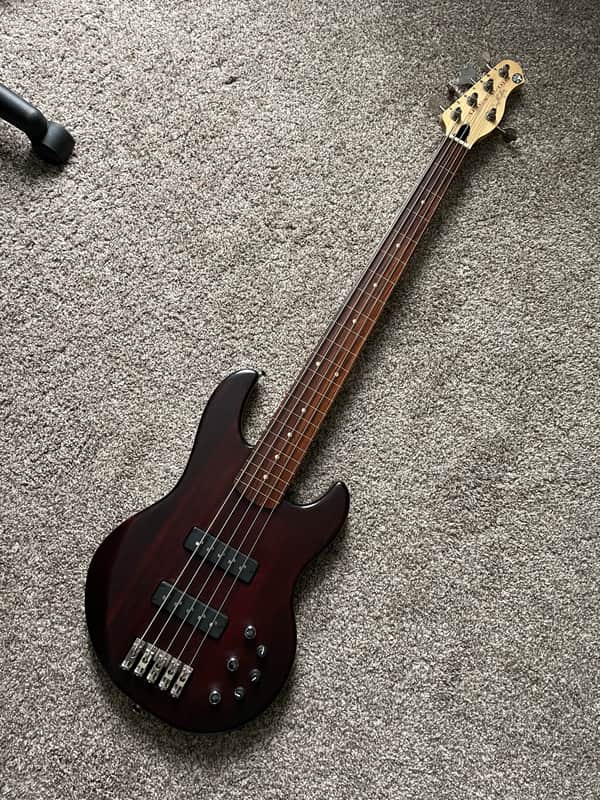 Alien Audio Constellation 5 String Fretless Bass image 1