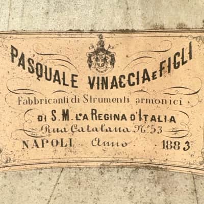 Pasquale Vinaccia Mandolin from 1883 image 19