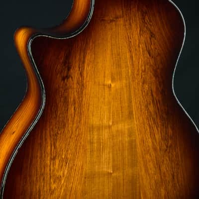 Taylor PS14ce Presentation Series Honduran Rosewood and Adirondack Spruce with Pickup Used (2025) image 17