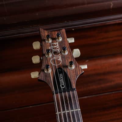 PRS Custom 22 Tremolo 2020 - Faded Whale Blue Bild 7
