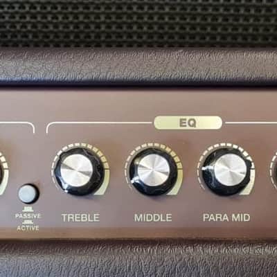 Carlsbro Sherwood 20R Acoustic Combo image 3