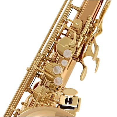 Yanagisawa TWO2 Tenor Saxophone Bronze image 4