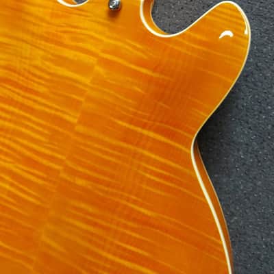 Hagstrom Super Viking Semi-Hollow Dandy Dandilion image 13