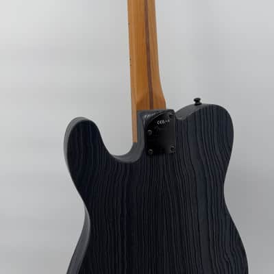 Fender American Professional II Sandblasted Telecaster HH 2025 - Smoke- Reverse Headstock-Sperzels! image 12