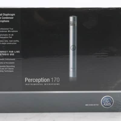 AKG Perception 170 Condenser Microphone and Audix XLR Cable #48043 image 3
