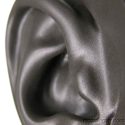 Neumann KU 100 Dummy Head Microphone with Aluminum Case - Fritz Binaural image 2