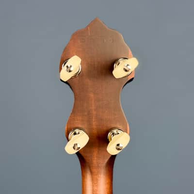 Custom Vega Senator 19-Fret Tenor Banjo with Fiberskin head, Vintage Star Hardware and Marbled Fretboard image 10