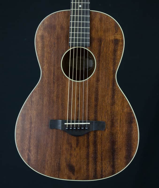 Ibanez AVN5-OPN Artwood Vintage Open Pore Parlor Guitar image 1