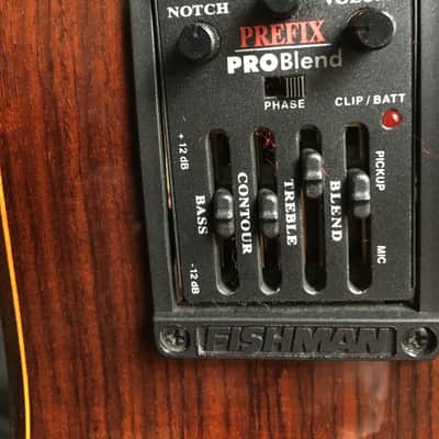 LaBella ABE 100 FC Fretless Acoustic Bass image 4
