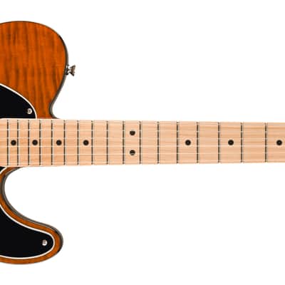 Squier Affinity Series Telecaster FMT SH - Mocha (Mint Demo Unit) image 2