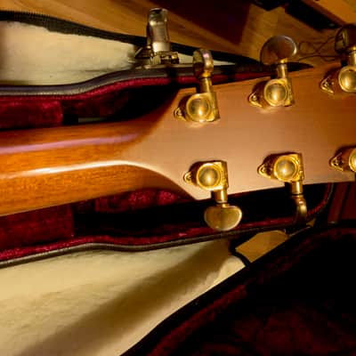 Taylor 612ce w/ 'Fishman Natural' Pickup image 5