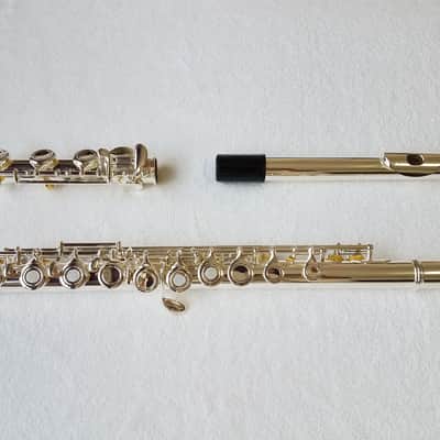Immagine Professional 17 Open Hole Silver Plated Flute E Key B Foot with Case and Velvet Canvas Bag - 9