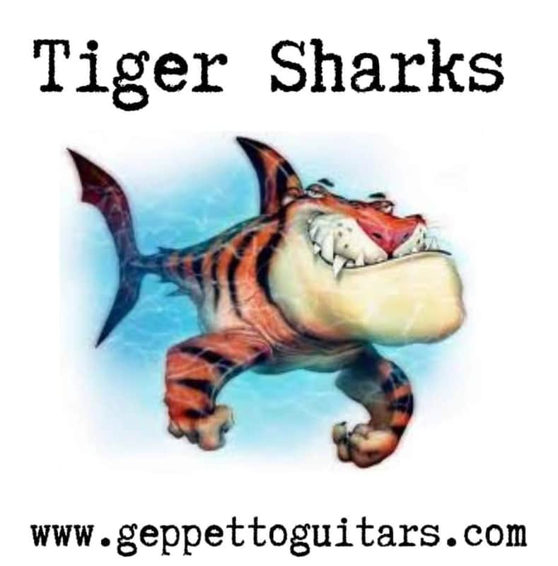 Geppetto Guitars Tiger Shark Pickup Set New With White, Cream Or Black Covers image 1