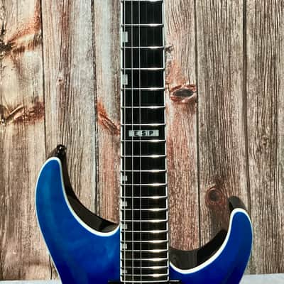 ESP E-II Horizon NT-II Blue Purple Gradation w/HSC image 3