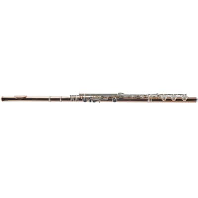 William S. Haynes Custom 14K Gold Flute with Gold Toneholes, Offset G, C# Trill image 10