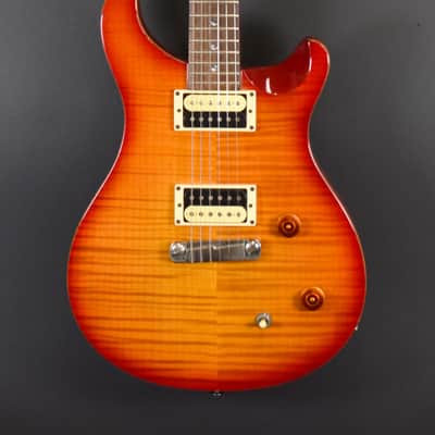 Paul Reed Smith SE Custom 22 '06 image 2