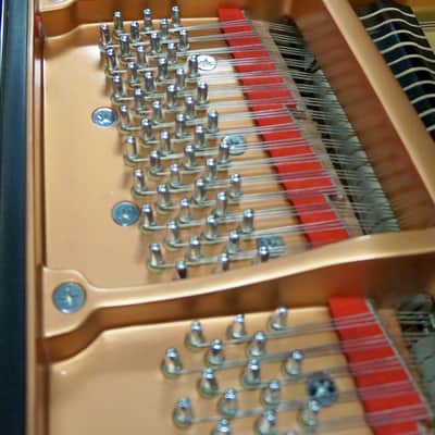 SCHIMMEL MAY BERLIN GRAND PIANO 5'4 BLACK POLISH image 6