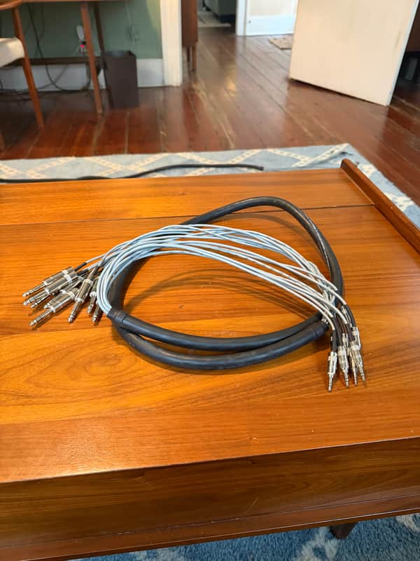Sommer Mistral 8 way Multicore Loom Studio Snake. Balanced TRS Jack. 2021 image 1