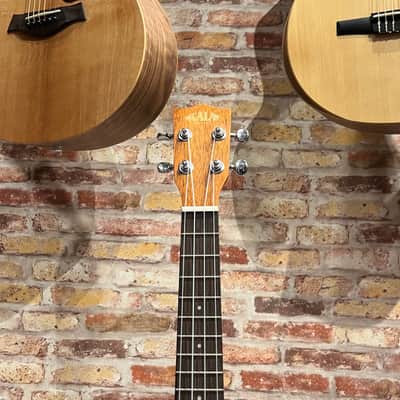Kala KA-CE Concert Ukulele - Satin Mahogany image 5