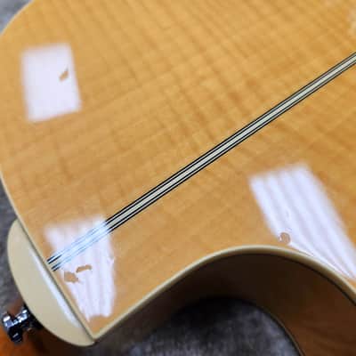 Mid 1990s Ibanez N800NT Slope-Shoulder Cutaway - Potential Prototype Unit w/ Hard Shell Case image 18