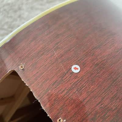 Aria 4 String Acoustic Electric Bass, Spruce Wood Top Body, Mahogany Neck image 9