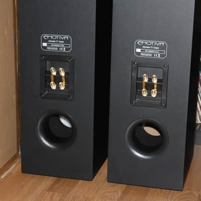 Emotiva T1  Airmotiv  Floor Standing Speakers image 5