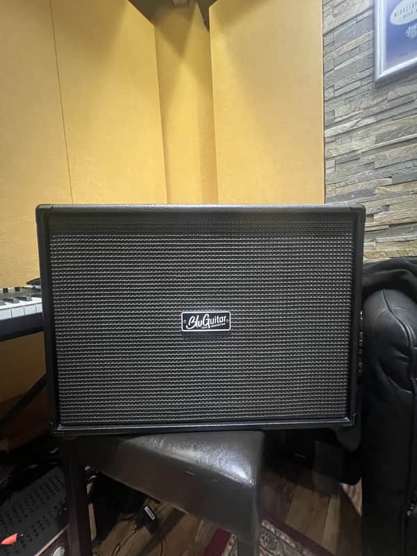 BluGuitar FATCAB 1x12 Speaker Cabinet image 1