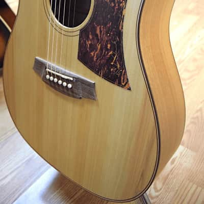 Cole Clark FL2AC Bunya / Queensland Maple NEW w/case image 3