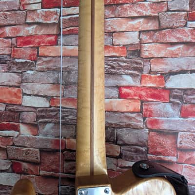 Warmoth (Fender) Telecaster image 8