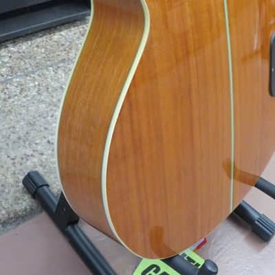 Washburn AB-20 1990s - Gloss Natural Wood With Washburn Case image 8