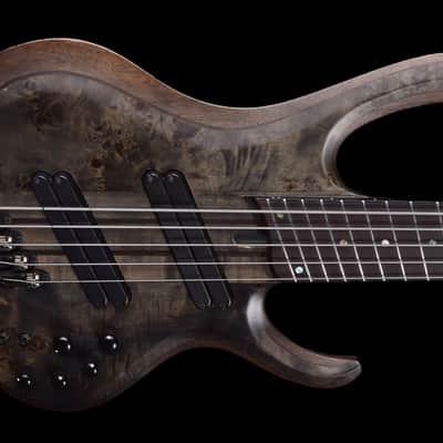 Ibanez BTB805MS-TGF Bass Workshop2023 - Transparent Gray Flat image 3