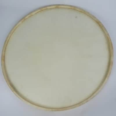 Leedy&Ludwig 22"Bass Drum Calfskin Head Vintage40s-50s Standard Hardwhite Batter image 3
